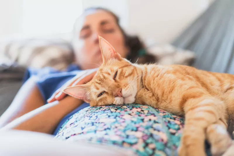 A ginger tabby cat sleeping on a woman's chest as she lies on a sofa