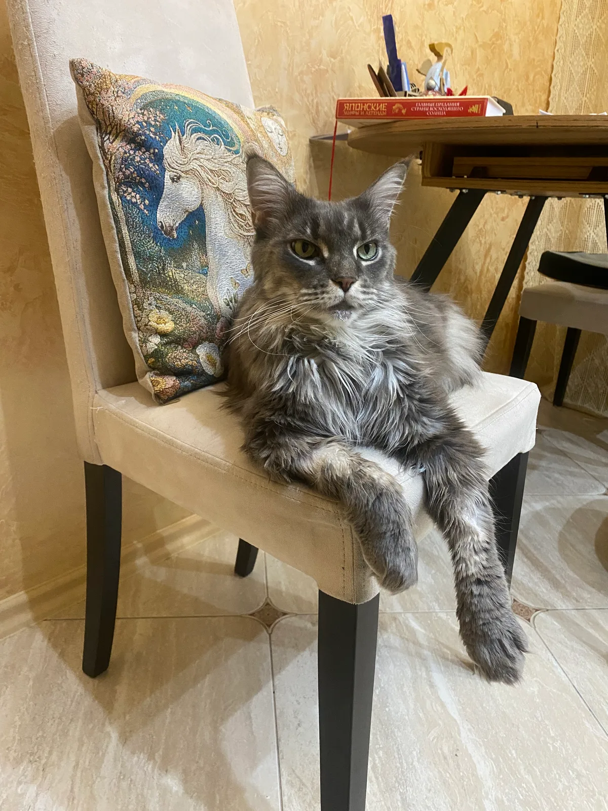 Dusya, a member's cat